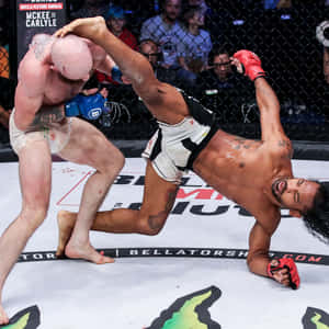 American Mma Fighter Ben Henderson And Peter Queally Wallpaper