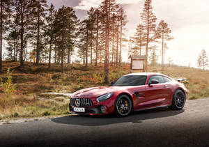 Amg Gt R And Pine Trees Wallpaper