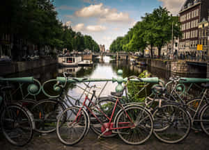 Amsterdam Canal Bicycles Wallpaper