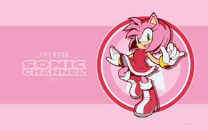 Amy Rose Illustration Wallpaper