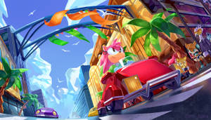 Amy Rose Sonic R Car Wallpaper