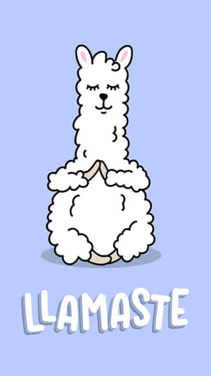 An Adorable Smiling Llama! Wallpaper