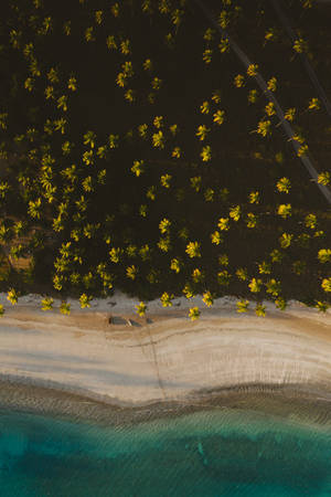 An Aerial View Of A Beautiful Beach Wallpaper