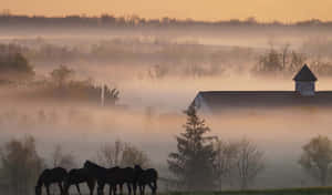 An Aerial View Of A Beautiful Ranch Property In The Country. Wallpaper