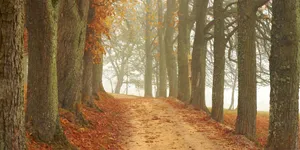 An Aerial View Of A Cityscape At Night. Wallpaper