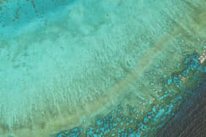 An Aerial View Of A Coral Reef Wallpaper