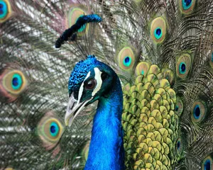 An Aerial View Of A Tropical Beach Wallpaper