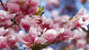 An Aerial View Of The Cityscape Wallpaper