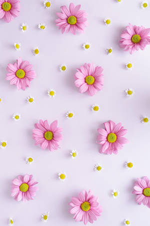 An Aesthetic And Delicate Purple Flower Wallpaper