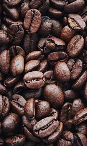 An Autumn Scene With Vibrant Autumn Leaves Wallpaper