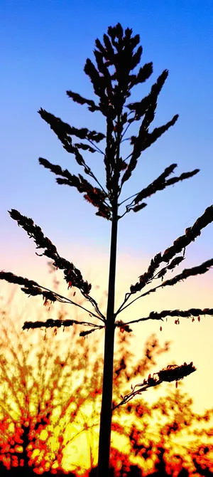 An Autumn Sunrise With A Hue Of Pink And Orange In The Sky. Wallpaper