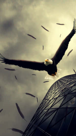 An Eagle Spreads Its Wings Across An Iphone's Screen Wallpaper