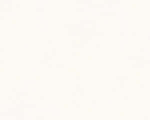 An Elegant And Soothing Cream-colored Wallpaper With Soft Gradient Effects Wallpaper