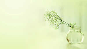 An Elegant Evening Out Wallpaper