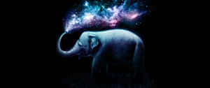 An Elephant With A Starry Sky In The Background Wallpaper