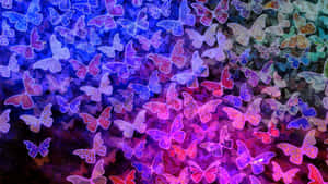 An Emerging Butterfly Against A Blue Background Wallpaper