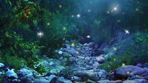 An Enchanted Forest Rocky Path Wallpaper