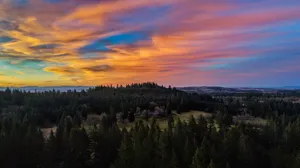 An Enchanting Mountain Pine Tree Silhouetted At Sunset Wallpaper