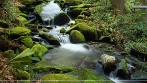 An Endless View Of The Majestic Great Smoky Mountains Wallpaper