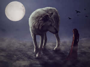 An Energetic School Playground Wallpaper