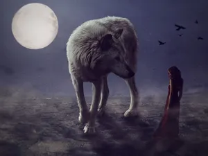 An Energetic School Playground Wallpaper