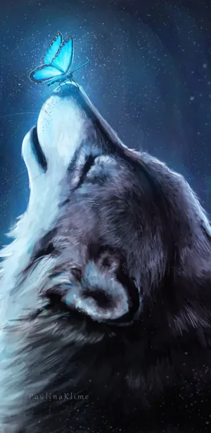 An Enigmatic And Powerful Proud Pretty Wolf Wallpaper