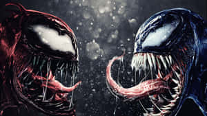 An Epic Showdown Between Cool Venom And Carnage Wallpaper