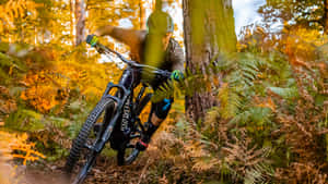 An Exciting Ride With Specialized Mountain Bike Wallpaper