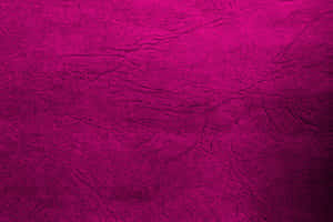 An Explosion Of Dark Pink Wallpaper