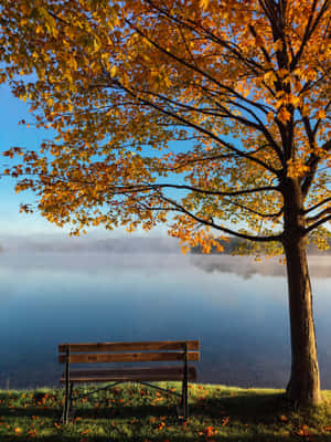 An Idyllic Autumn Landscape With A Bridge Wallpaper