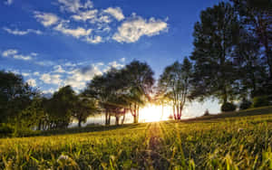 An Idyllic Spring Meadow Landscape Wallpaper