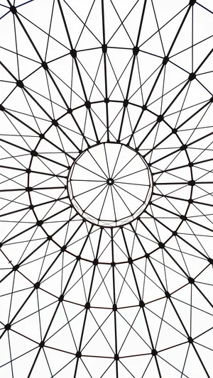 An Illustration Of Beauty In Black And White Wallpaper