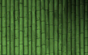 An Image Of A Tranquil Green Bamboo Forest Wallpaper