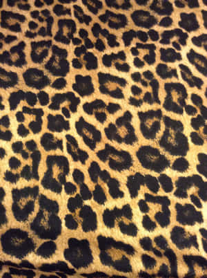 An Intriguing Leopard Pattern Wallpaper. Wallpaper