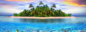 An Island With Palm Trees And Corals In The Ocean Wallpaper