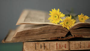 An Old Book With Yellow Flowers On Top Wallpaper