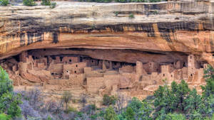 Anasazi Ruins In Mesa Verde Wallpaper