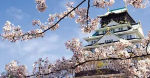Ancient Japanese Warrior Overlooking The Sunset Wallpaper
