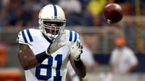 Andre Johnson Catching Football Game Wallpaper