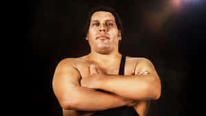 Andre The Giant French Wrestling Superstar Wallpaper