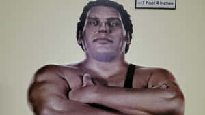 Andre The Giant Portrait Painting Wallpaper