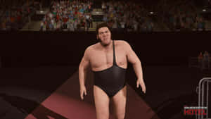 Andre The Giant Video Game Character Wallpaper