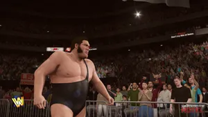 Andre The Giant World Wrestling Federation Wallpaper