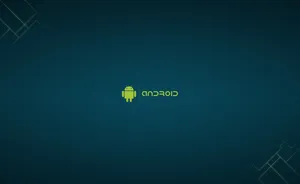 Android Developer Text And Icon Wallpaper