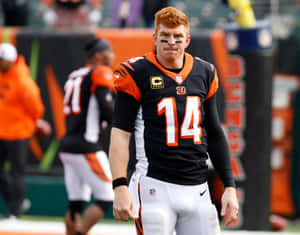 Andy Dalton Bengals Quarterback Wallpaper