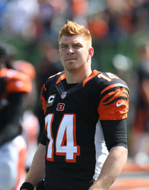 Andy Dalton Cincinnati Bengals Captain Wallpaper