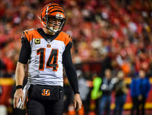 Andy Dalton Cincinnati Bengals Quarterback Wallpaper