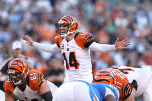 Andy Dalton Quarterback Action Cincinnati Bengals Wallpaper