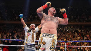 Andy Ruiz Winning Moment Wallpaper