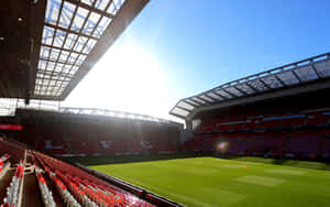 Anfield Stadium Sunlit Interior Wallpaper